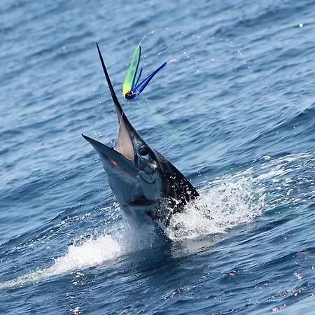 Holiday home Lugar De Santana Sesimbra